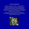 03 _Cylindropuntia